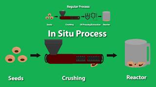 Biodiesel Processing In Situ vs Regular for Oilseeds and Algae Animation [upl. by Hopfinger]