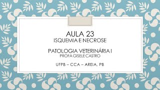 Aula 23 Isquemia e Necrose Pato 1 [upl. by Ahsir]