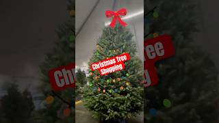 2024 Christmas Tree Shopping🌲in November We got our tree happyholidays shorts [upl. by Zingale]