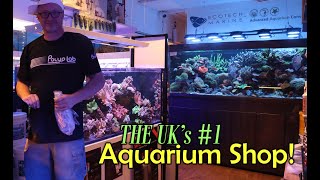 We Tour The UKs Best Saltwater Aquarium Store [upl. by Araminta492]