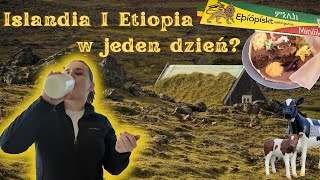 Gorące źródła gejzery i świeże mleko 🐮 Smaki Etiopii na Islandii [upl. by Nylesor]