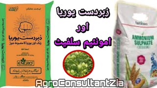 Ammonium Sulphate Vs Zabardast Urea [upl. by Tarrah]