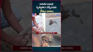 iSmart News  కాపాడిన మనిషికి కృతజ్ఞతలు చెప్పేందుకు కోతుల ఆరాటం  TV9 [upl. by Nidnal]