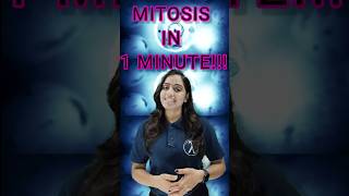 Mitosis A Fascinating Journey Inside Cells🔥mitosis ytshorts youtubeshorts biology shorts [upl. by Eecart307]