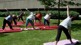 Yoga for Rheumatoid Arthritis Practical Session [upl. by Chloette]