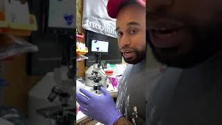 My first microscope cytology to detect breeding timing in my dog 🔬 Instagram Live 81021 [upl. by Cannell]