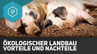 Ökologischer Landbau Vorteile und Nachteile  Landwirtschaft in Industrieländern 7 [upl. by Redyr]