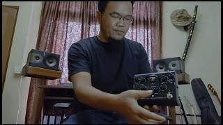 BLACKSTAR Dept10 Dual Distortion ReviewLawma [upl. by Argyres]