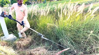 The Modern Way Of Trimming Unwanted Bushes  With Chainsaw [upl. by Trinatte]