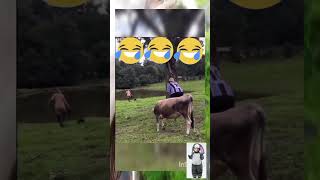 I laughed until i cried videos of the week compilation funny shorts [upl. by Ayian]