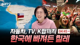 자동차 TV K팝까지 한국에 빠져든 칠레 Feat FTA 체결 20년민원정 칠레가톨릭대학 교수 [upl. by Krell]