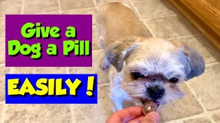 How I Give My Picky Dog Her Pills Works EVERY TIME [upl. by Acinoj]