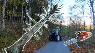 Farmers POV  Clearing Dangerous Hung Trees  New Holland T475 Husqvarna 353 [upl. by Yelkrab]