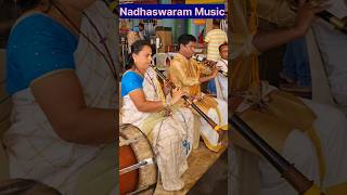 Nadhaswaram music [upl. by Llehsal63]