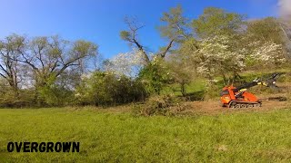 Mini skid steers takes on overgrown creek [upl. by Eybba489]