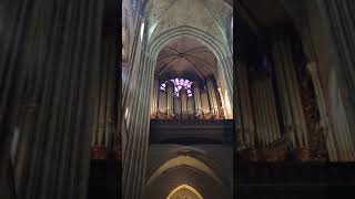 The Great Organ of Notre Dame Cathedral [upl. by Laverna]