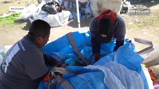 Volunteer group committed to clearing trash from Tijuana River as sewage crisis persists [upl. by Koffler]