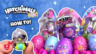 Hatchimals COSMIC CANDY Hatch It On [upl. by Efar]