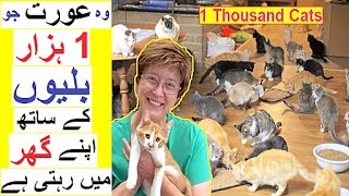 Woman lives with 1000 Cats  Story of  The Cat Lady [upl. by Attem]