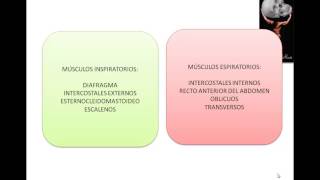 Fisiologia Respiratoria Grupo Atlas Clase 1 [upl. by Neeliak]