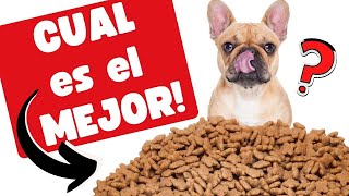 🔴Cual es el Mejor Alimento para Perros 2022 ⏩Hoy Analizamos a Purina BENEFUL✅ Jose Arca Veterinario [upl. by Liew]