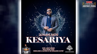 Satnarine Ragoo  Kesariya 2023 Bollywood Cover [upl. by Nadbus53]