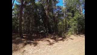 Pademelon Campground Lower Part Chichester State Forest [upl. by Lednem631]