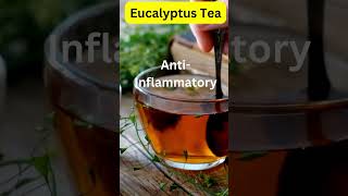 Eucalyptus Tea Breathe Easy with Natures Remedy wellnesstea tea herba herbalremedy [upl. by Florina]