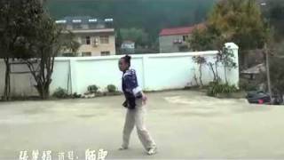 Wudang Sanfeng Pai 15th Generation Successors demonstrated wudang wushu [upl. by Eirised]