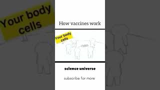 How vaccine works  funnyshorts biology 1million viralshorts [upl. by Nodlehs]