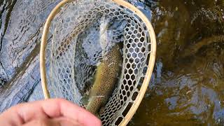 Fly fishing the Farmington river euro nymphing and tenkara [upl. by Einalam]