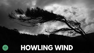 10 HR  HOWLING WIND sounds for sleeping amp relaxation  Dark Screen  Black Screen [upl. by Notneuq]