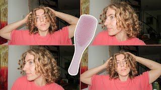 Perfekt definierte Locken mit einer Bürste ⁉️ Denman Brush Dupe  NATURLOCKEN STYLEN [upl. by Nevyar]