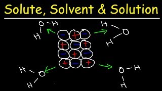 Solute Solvent amp Solution  Solubility Chemistry [upl. by Attenauq]