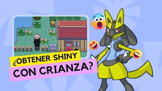 ¿Cómo funciona la mecanica de SHINY por crianza en POKEMMO [upl. by Anon400]