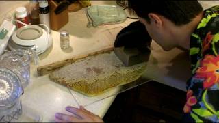 How to Cut Comb Honey [upl. by Eudoca202]