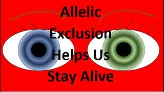 How Allelic Exclusion Helps YOU Stay Alive [upl. by Akem152]