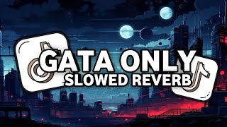 GATA ONLY SLOWED [upl. by Lorou]