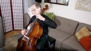 Frirsz Acousticus vs Thomastik Infeld Cello Tailpieces [upl. by Kellie]