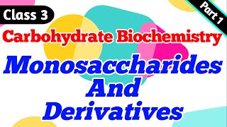 Monosaccharides Part 1 [upl. by Philipp812]