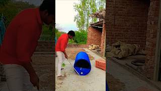 Lambi bahu aagi to viralvideo funny shortsfeed [upl. by Huey]