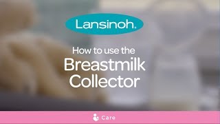 How to use the Lansinoh Breastmilk Collector [upl. by Keely]