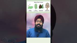 quotPlantae Kingdom Overview  NCERT Explained for NEET UG Aspirantsquot neetncertbiology ncert biology [upl. by Raclima]