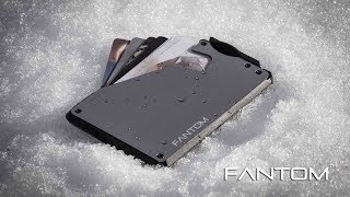 FANTOM WALLET [upl. by Rockel]