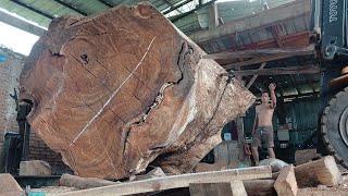 WOOD DISCOVERY WORTH 100000 US DOLLARS  Made into Wood Slabs [upl. by Anirda]