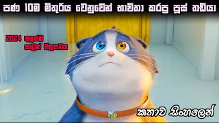 New cartoon movie in sinhala sinhala movie explain  movie explain in sinhala  sinhala film review [upl. by Eigger597]