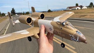 Fast Passes With Eflite UMX A10 Warthog EDF Jet [upl. by Herzog]