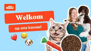 Alles wat je kan leren over honden en katten van onze dierenarts Joy  Intro [upl. by Anhcar]