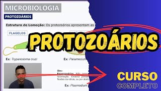 PROTOZOÁRIOS  Características gerais  Microbiologia  Aula 13 [upl. by Boycie]