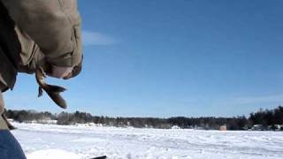 Ice Fishing Beaver Lake Derry NH [upl. by Esmond]